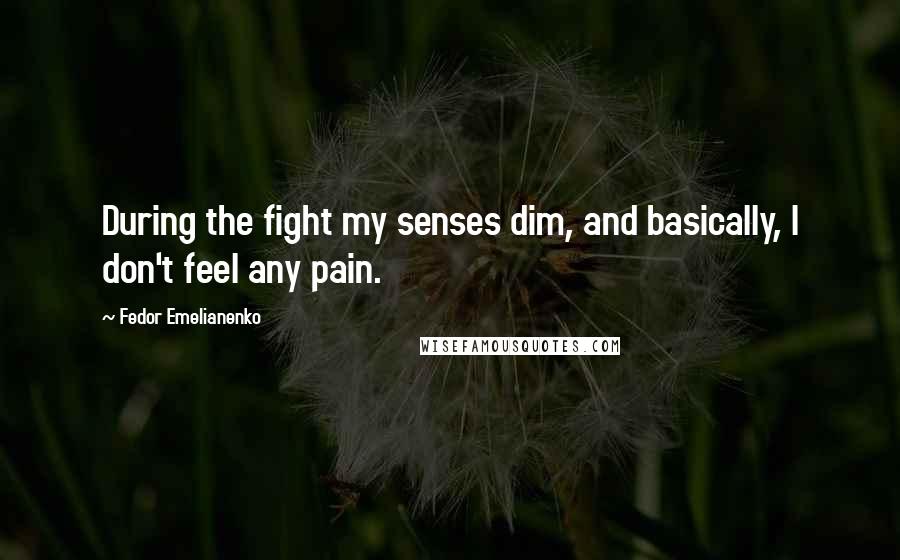 Fedor Emelianenko quotes: During the fight my senses dim, and basically, I don't feel any pain.