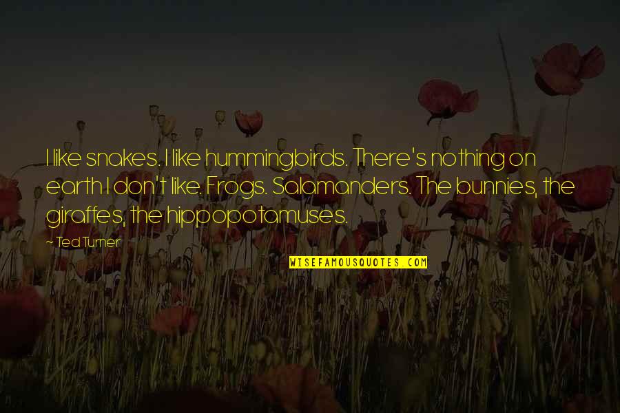 Feeble Minded Quotes By Ted Turner: I like snakes. I like hummingbirds. There's nothing Feeble Minded Quotes By Ted Turner: I like snakes. I like hummingbirds. There's nothing