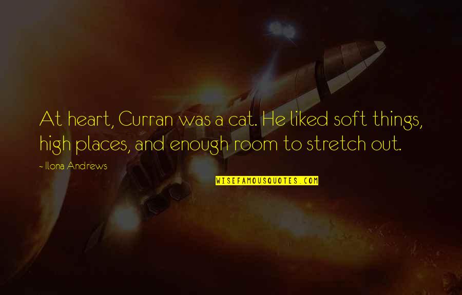 Feebleminded Quotes By Ilona Andrews: At heart, Curran was a cat. He liked