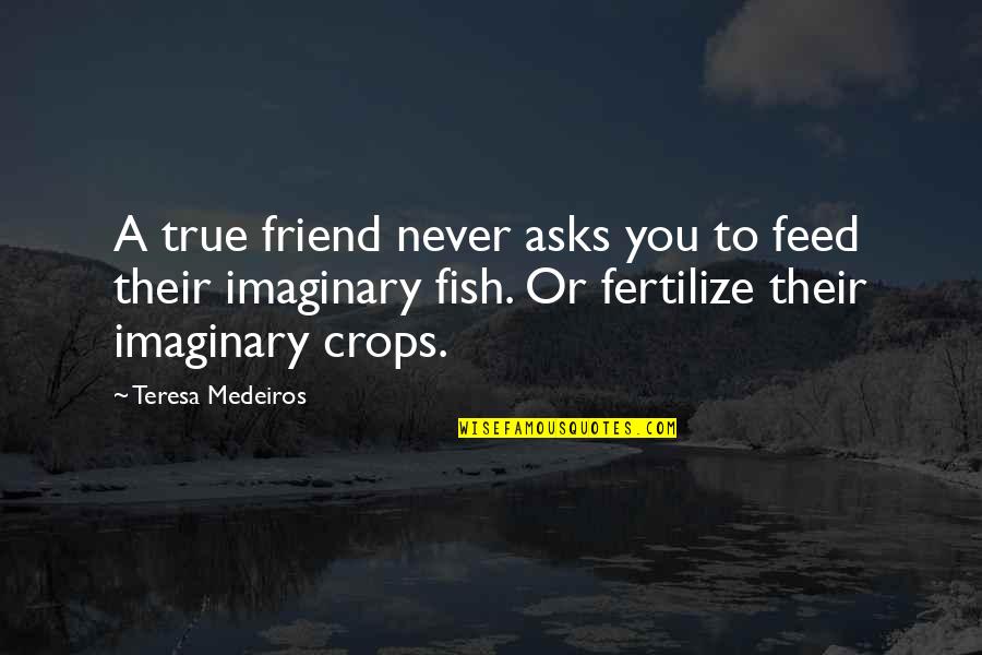Feed Fish Quotes By Teresa Medeiros: A true friend never asks you to feed