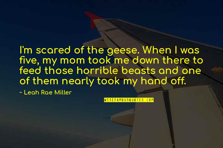 Feed Me Quotes By Leah Rae Miller: I'm scared of the geese. When I was