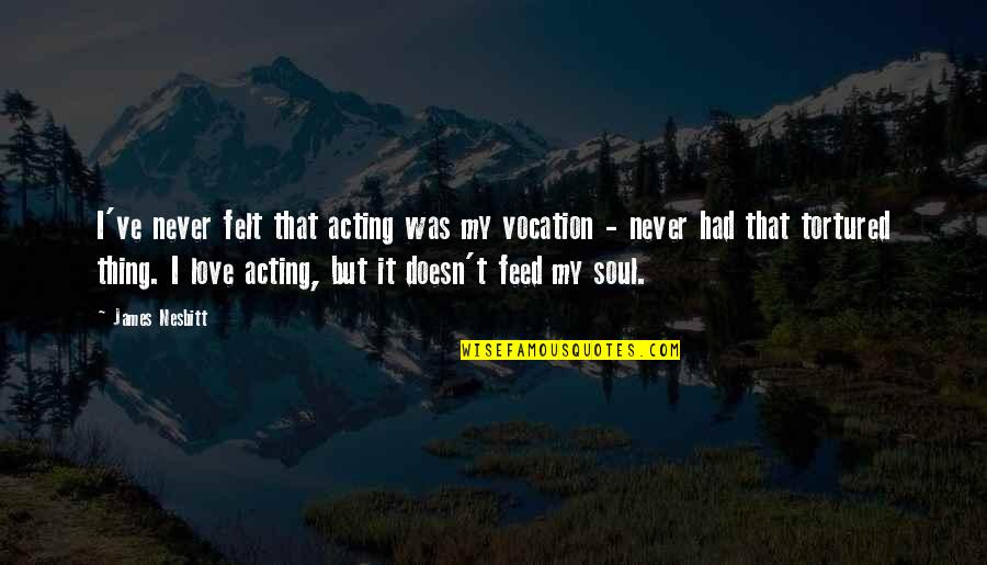 Feed The Soul Quotes By James Nesbitt: I've never felt that acting was my vocation