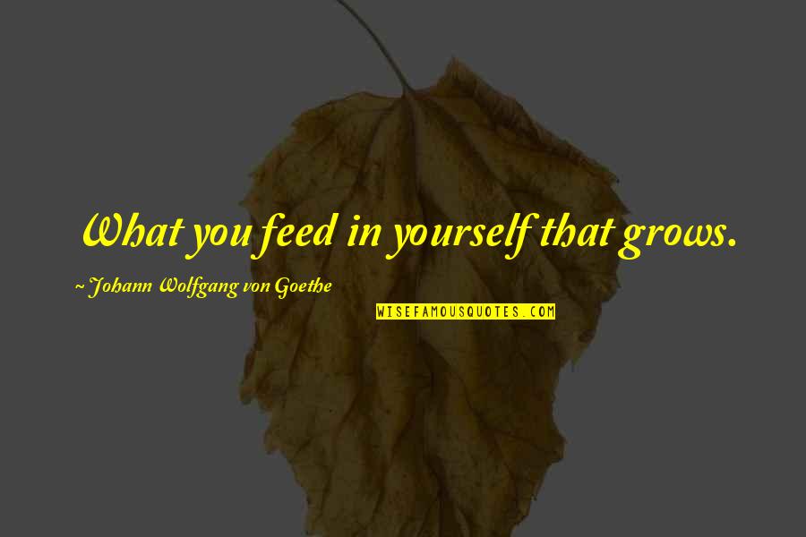 Feed The Spirit Quotes By Johann Wolfgang Von Goethe: What you feed in yourself that grows.