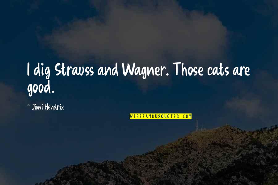 Feed Your Hunger Quotes By Jimi Hendrix: I dig Strauss and Wagner. Those cats are