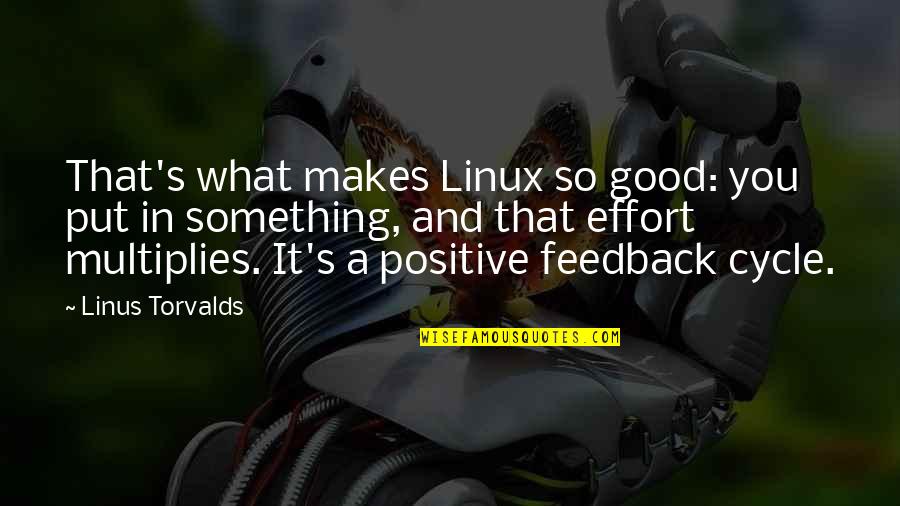 Feedback Quotes By Linus Torvalds: That's what makes Linux so good: you put