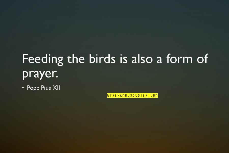 Feeding The Birds Quotes By Pope Pius XII: Feeding the birds is also a form of