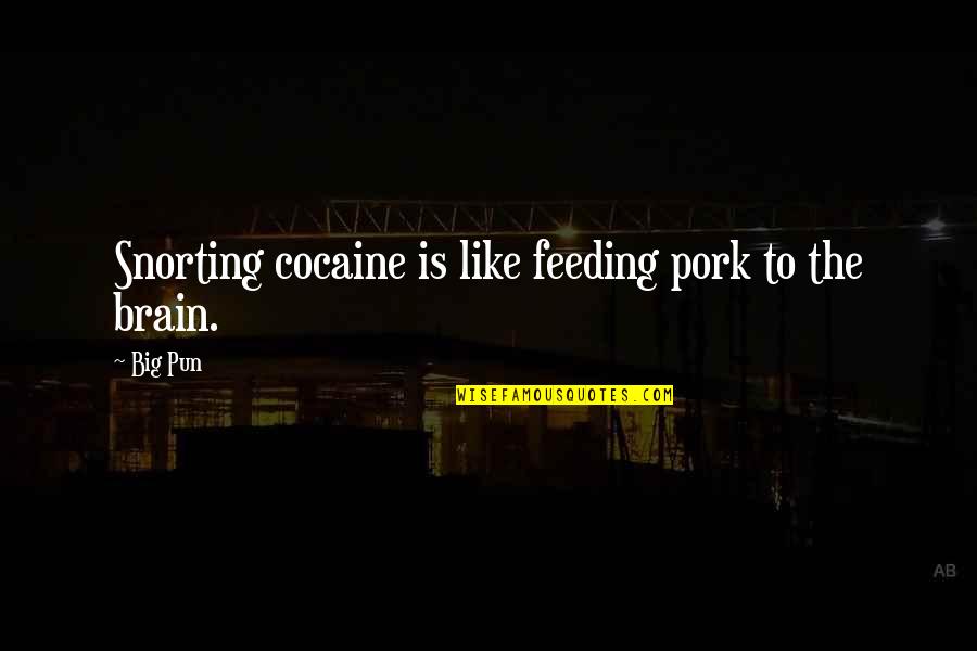 Feeding The Brain Quotes By Big Pun: Snorting cocaine is like feeding pork to the