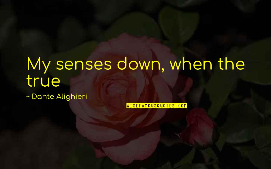 Feedlots Near Quotes By Dante Alighieri: My senses down, when the true