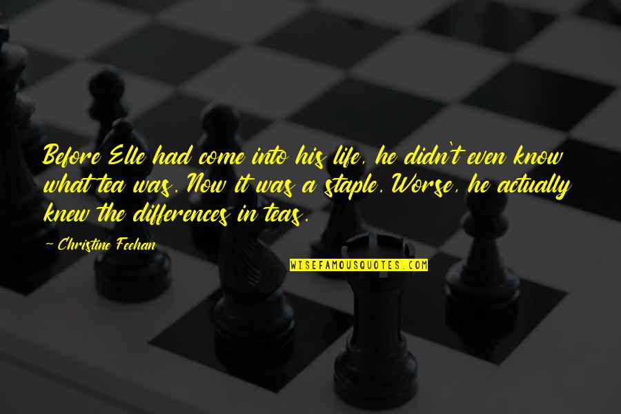Feehan Quotes By Christine Feehan: Before Elle had come into his life, he
