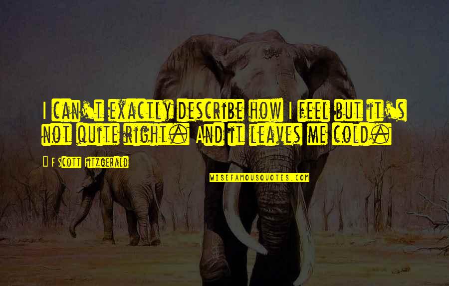Feel Cold Quotes By F Scott Fitzgerald: I can't exactly describe how I feel but Feel Cold Quotes By F Scott Fitzgerald: I can't exactly describe how I feel but