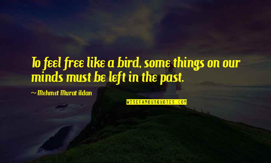 Feel Free Like A Bird Quotes By Mehmet Murat Ildan: To feel free like a bird, some things