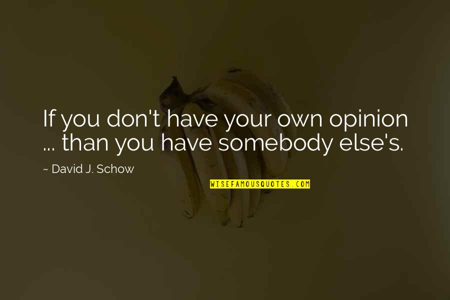 Feel Free To Fly Quotes By David J. Schow: If you don't have your own opinion ...