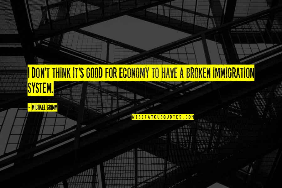 Feel Good Fortune Cookie Quotes By Michael Grimm: I don't think it's good for economy to