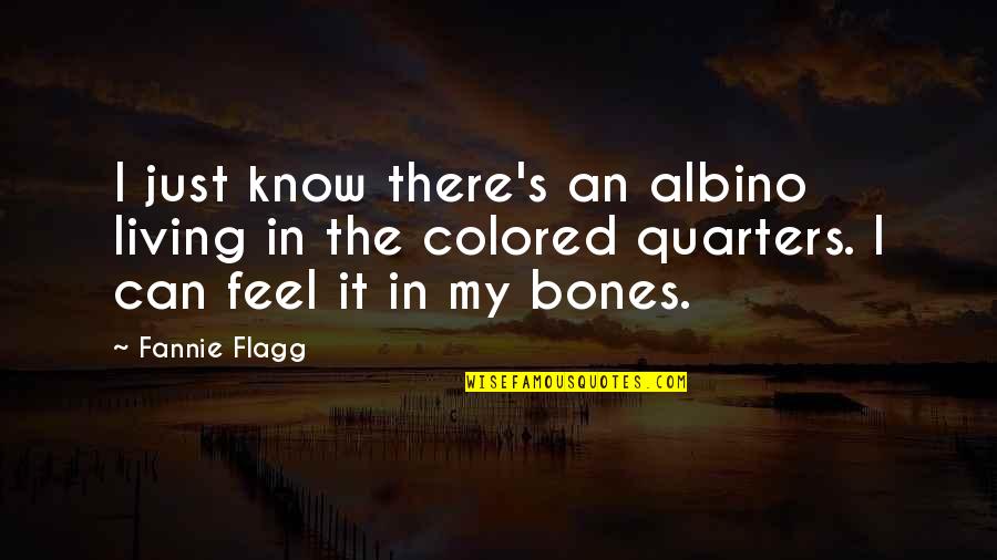 Feel It In My Bones Quotes By Fannie Flagg: I just know there's an albino living in