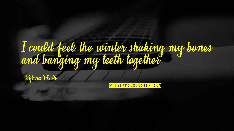Feel It In My Bones Quotes By Sylvia Plath: I could feel the winter shaking my bones