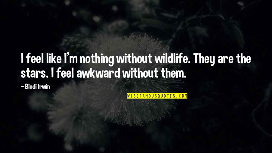 Feel Like Nothing Quotes By Bindi Irwin: I feel like I'm nothing without wildlife. They Feel Like Nothing Quotes By Bindi Irwin: I feel like I'm nothing without wildlife. They