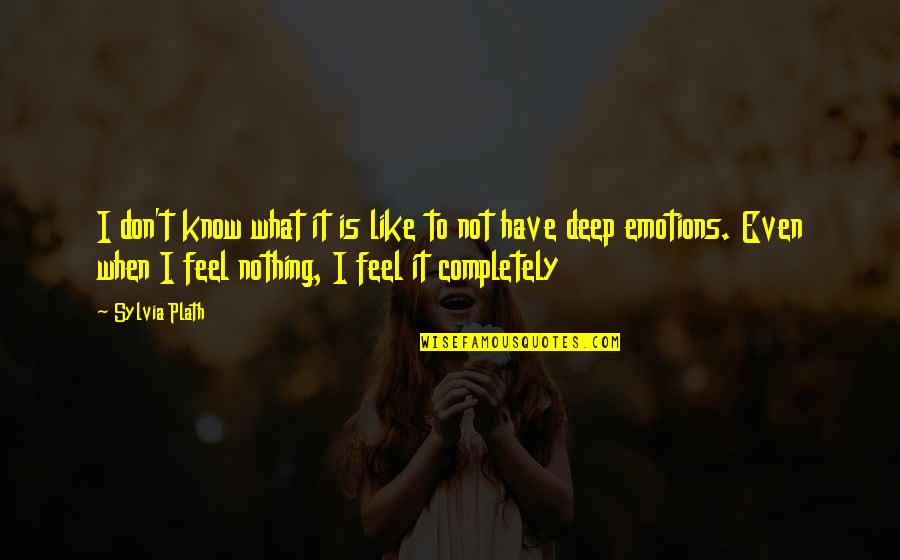 Feel Like Nothing Quotes By Sylvia Plath: I don't know what it is like to