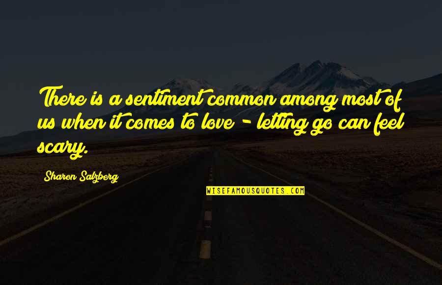 Feel Love Quotes By Sharon Salzberg: There is a sentiment common among most of
