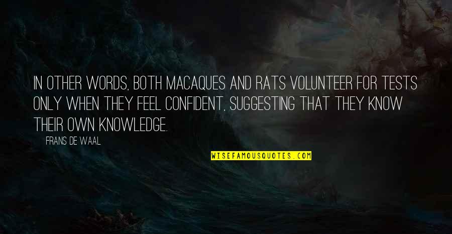 Feel More Confident Quotes By Frans De Waal: In other words, both macaques and rats volunteer Feel More Confident Quotes By Frans De Waal: In other words, both macaques and rats volunteer