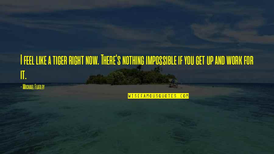Feel Right Now Quotes By Michael Flatley: I feel like a tiger right now. There's Feel Right Now Quotes By Michael Flatley: I feel like a tiger right now. There's