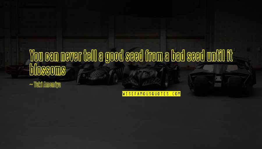 Feel So Little Among Trees Quotes By Yuki Amemiya: You can never tell a good seed from
