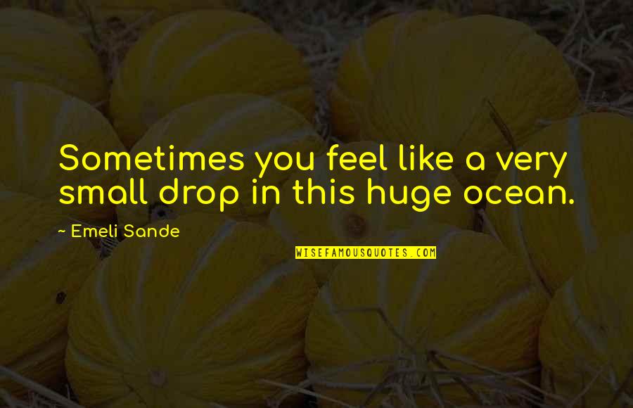 Feel So Small Quotes By Emeli Sande: Sometimes you feel like a very small drop