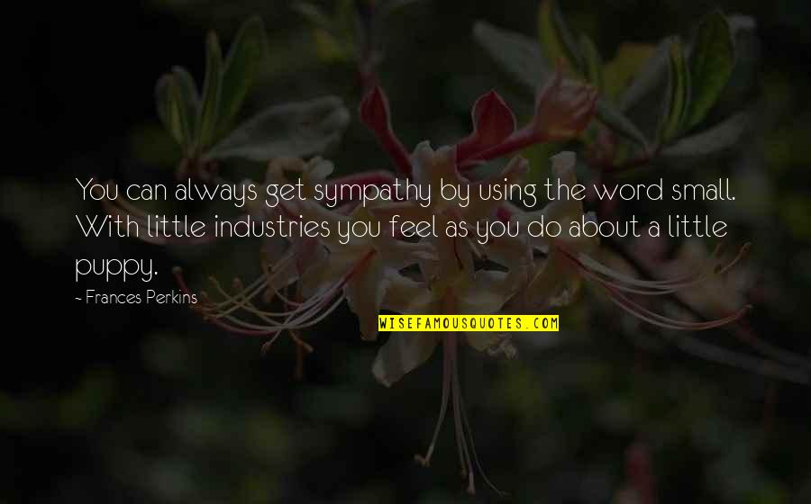 Feel So Small Quotes By Frances Perkins: You can always get sympathy by using the