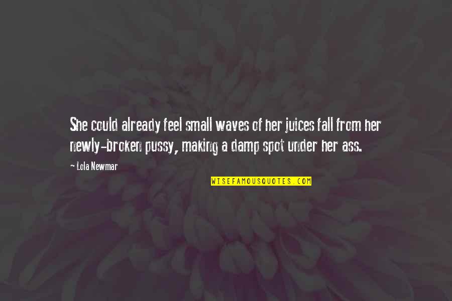 Feel So Small Quotes By Lola Newmar: She could already feel small waves of her Feel So Small Quotes By Lola Newmar: She could already feel small waves of her