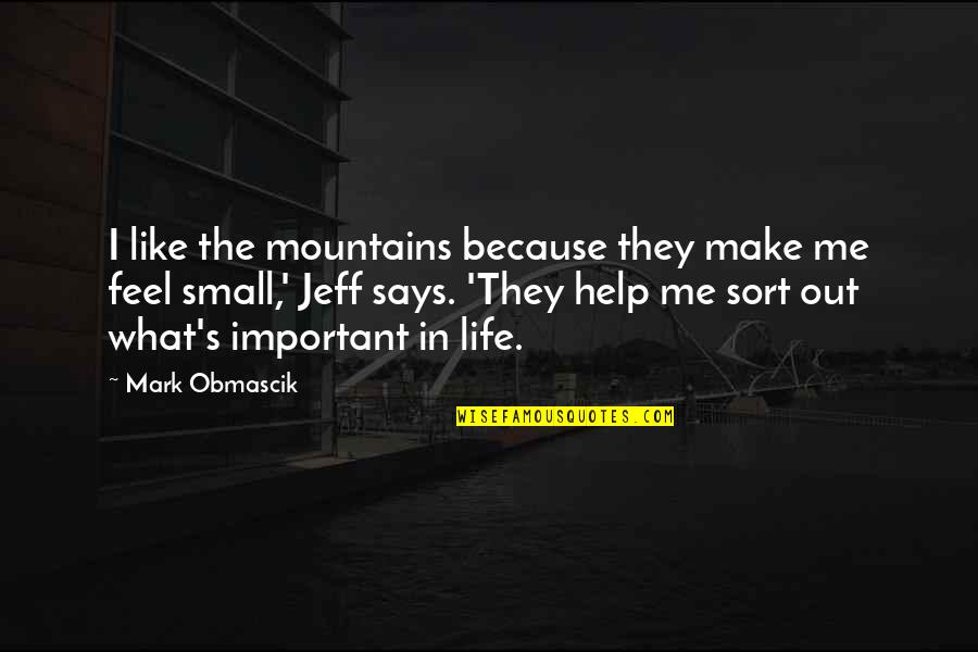 Feel So Small Quotes By Mark Obmascik: I like the mountains because they make me