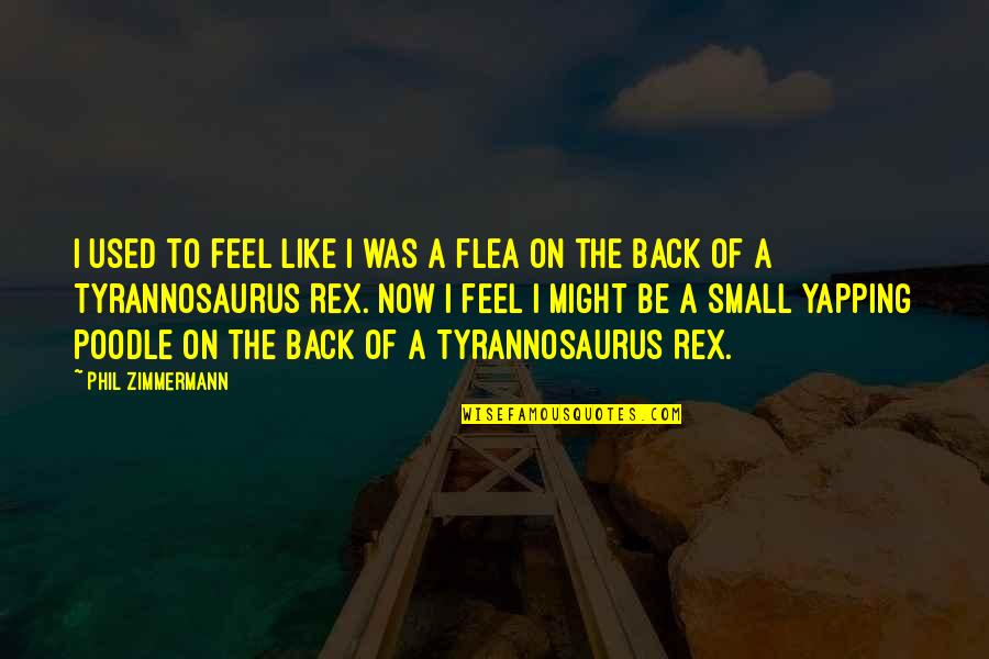 Feel So Small Quotes By Phil Zimmermann: I used to feel like I was a Feel So Small Quotes By Phil Zimmermann: I used to feel like I was a