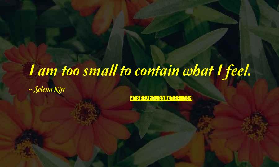 Feel So Small Quotes By Selena Kitt: I am too small to contain what I