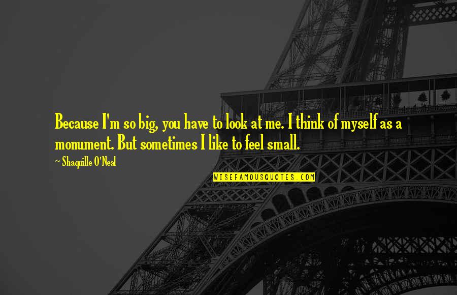 Feel So Small Quotes By Shaquille O'Neal: Because I'm so big, you have to look