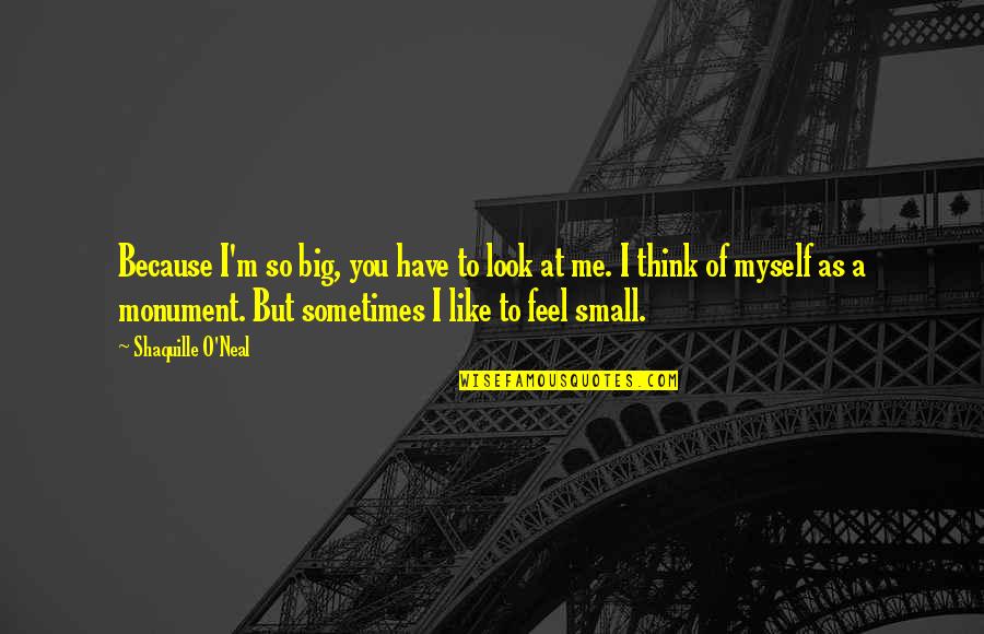 Feel So Small Quotes By Shaquille O'Neal: Because I'm so big, you have to look Feel So Small Quotes By Shaquille O'Neal: Because I'm so big, you have to look