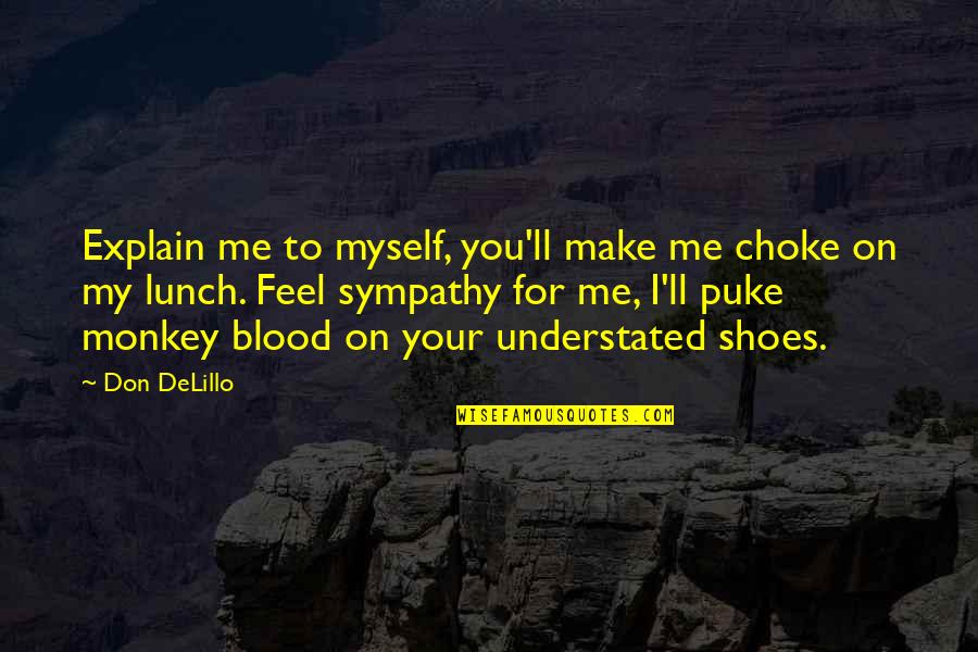 Feel Sympathy Quotes By Don DeLillo: Explain me to myself, you'll make me choke
