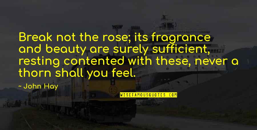 Feel The Beauty Quotes By John Hay: Break not the rose; its fragrance and beauty