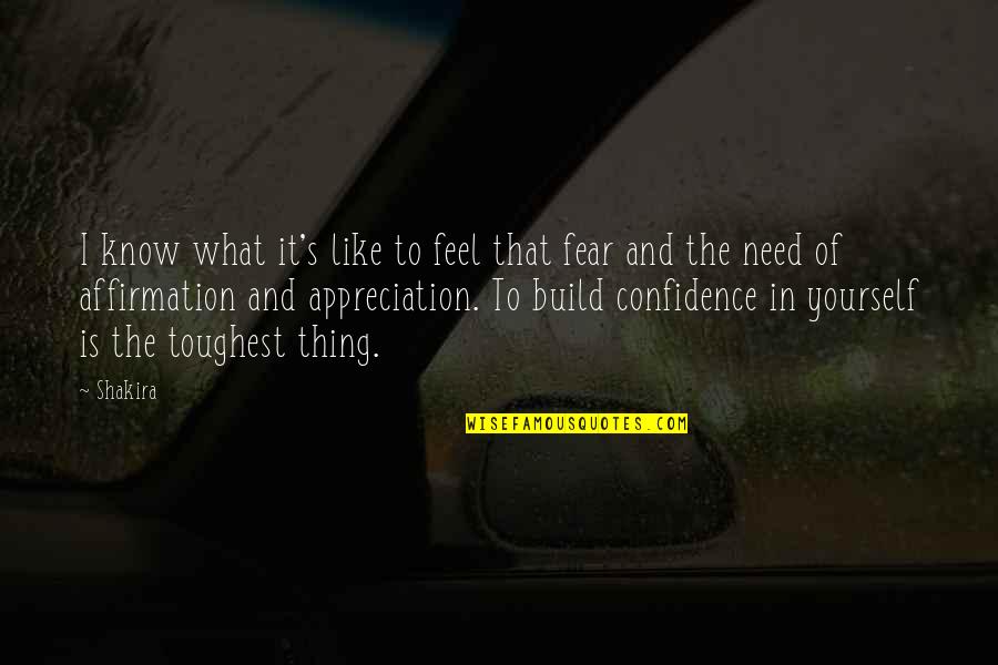 Feel The Fear Quotes By Shakira: I know what it's like to feel that