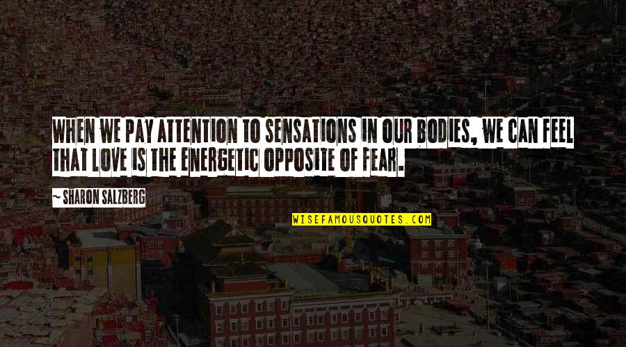 Feel The Fear Quotes By Sharon Salzberg: When we pay attention to sensations in our