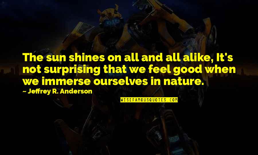 Feel The Nature Quotes By Jeffrey R. Anderson: The sun shines on all and all alike,