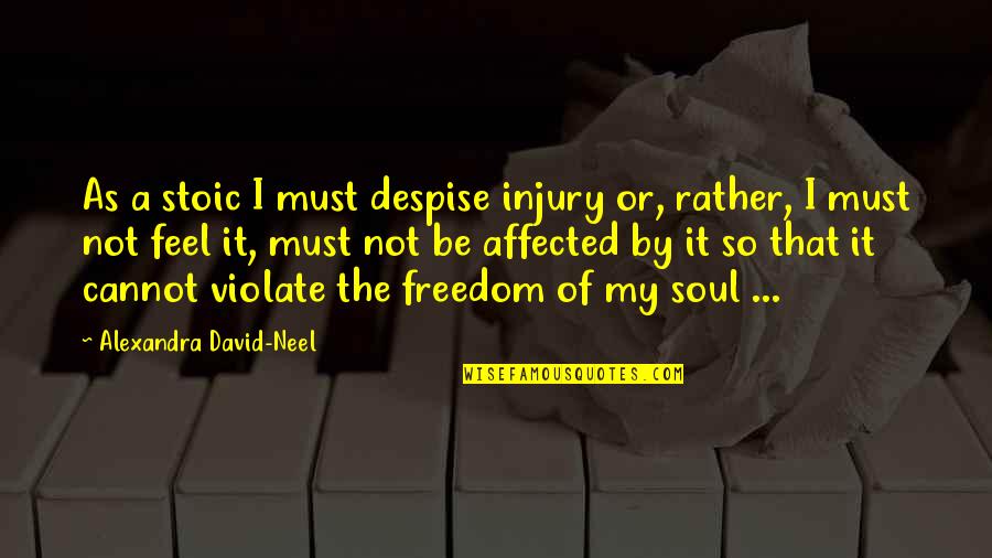 Feel The Soul Quotes By Alexandra David-Neel: As a stoic I must despise injury or,