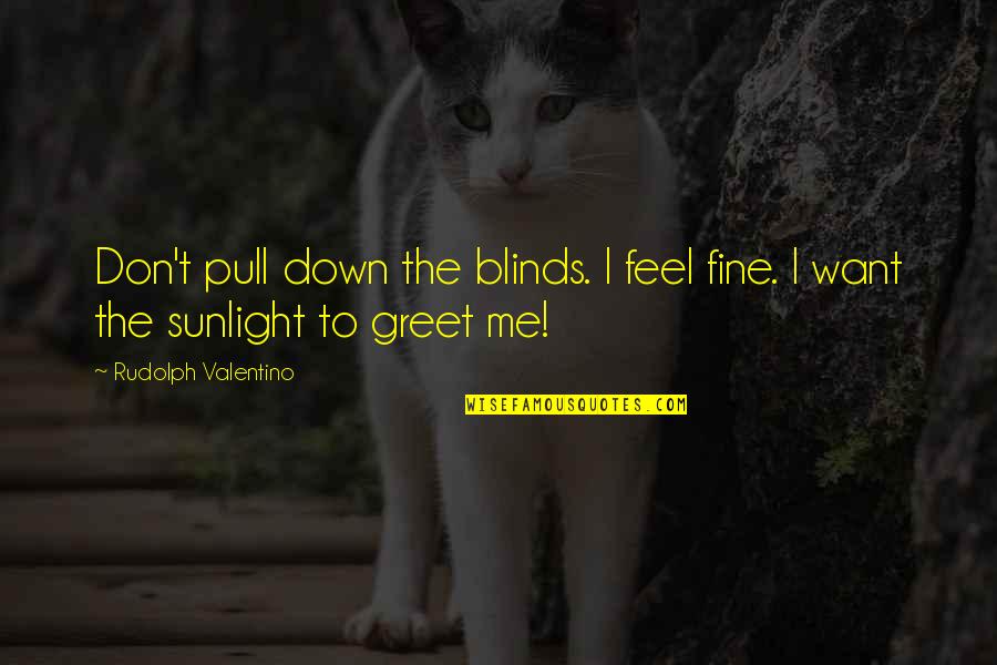 Feel The Sunlight Quotes By Rudolph Valentino: Don't pull down the blinds. I feel fine.