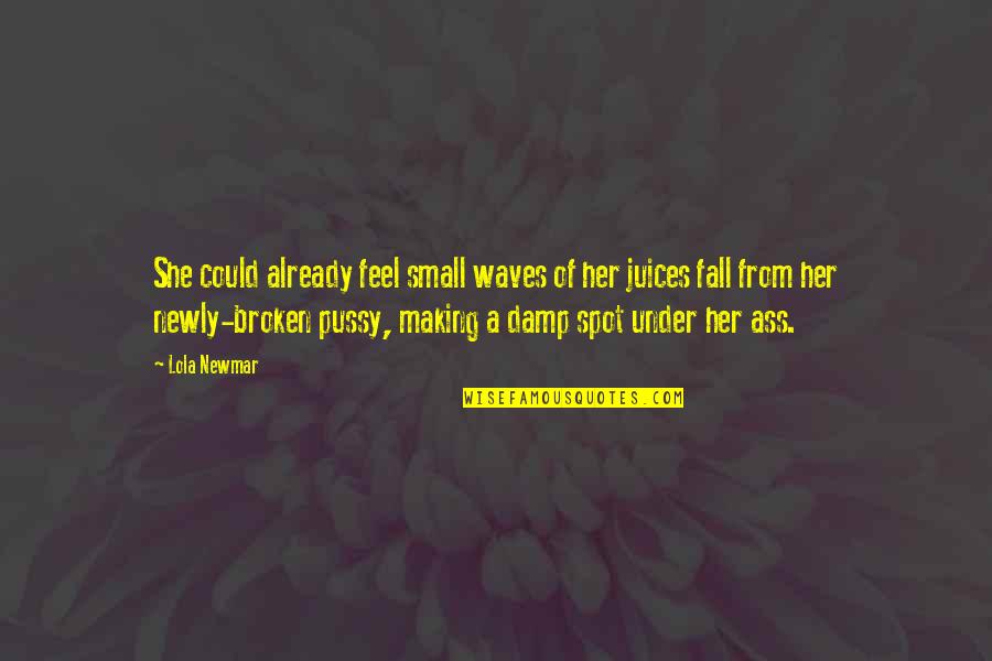 Feel The Waves Quotes By Lola Newmar: She could already feel small waves of her