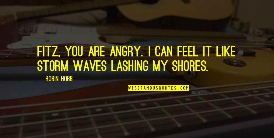 Feel The Waves Quotes By Robin Hobb: Fitz, you are angry. I can feel it