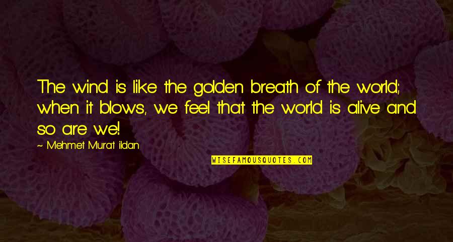 Feel The Wind Quotes By Mehmet Murat Ildan: The wind is like the golden breath of Feel The Wind Quotes By Mehmet Murat Ildan: The wind is like the golden breath of