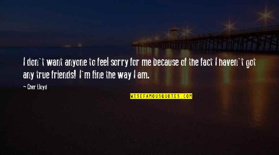 Feel True Quotes By Cher Lloyd: I don't want anyone to feel sorry for