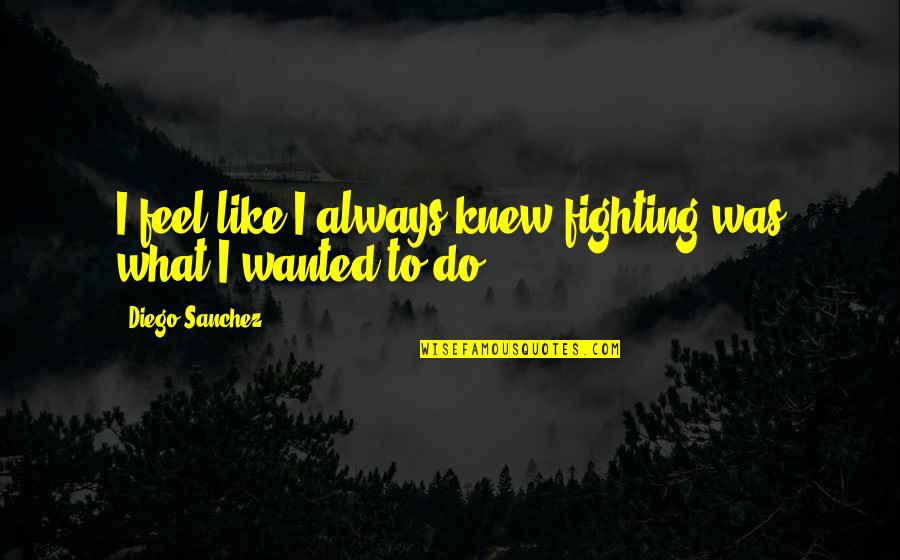 Feel Wanted Quotes By Diego Sanchez: I feel like I always knew fighting was