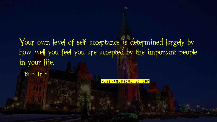 Feel Well Quotes By Brian Tracy: Your own level of self-acceptance is determined largely