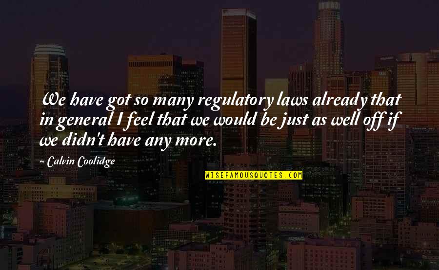 Feel Well Quotes By Calvin Coolidge: We have got so many regulatory laws already