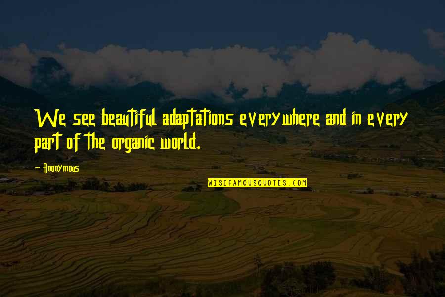 Feelds Quotes By Anonymous: We see beautiful adaptations everywhere and in every
