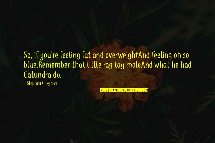 Feeling A Little Blue Quotes By Stephen Cosgrove: So, if you're feeling fat and overweightAnd feeling