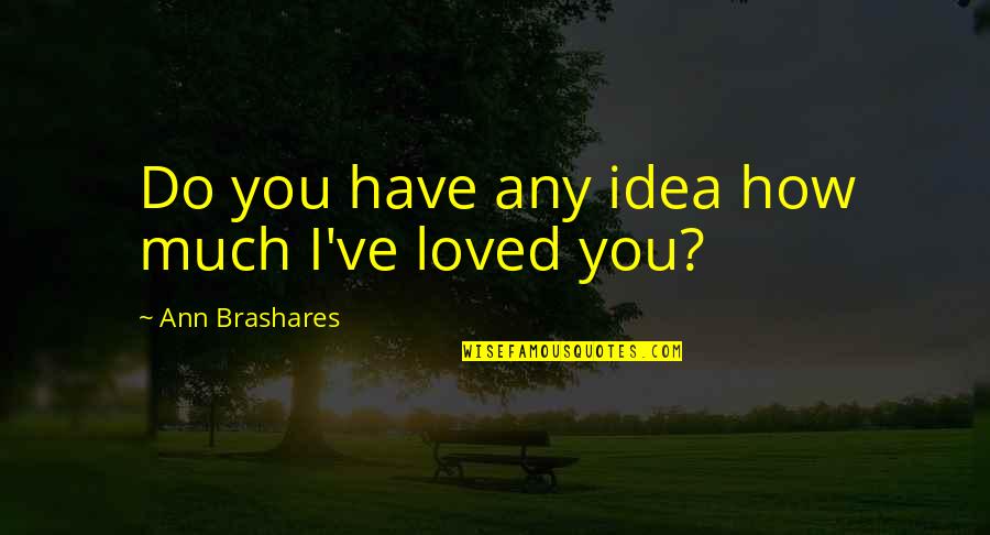 Feeling Abundance Quotes By Ann Brashares: Do you have any idea how much I've Feeling Abundance Quotes By Ann Brashares: Do you have any idea how much I've